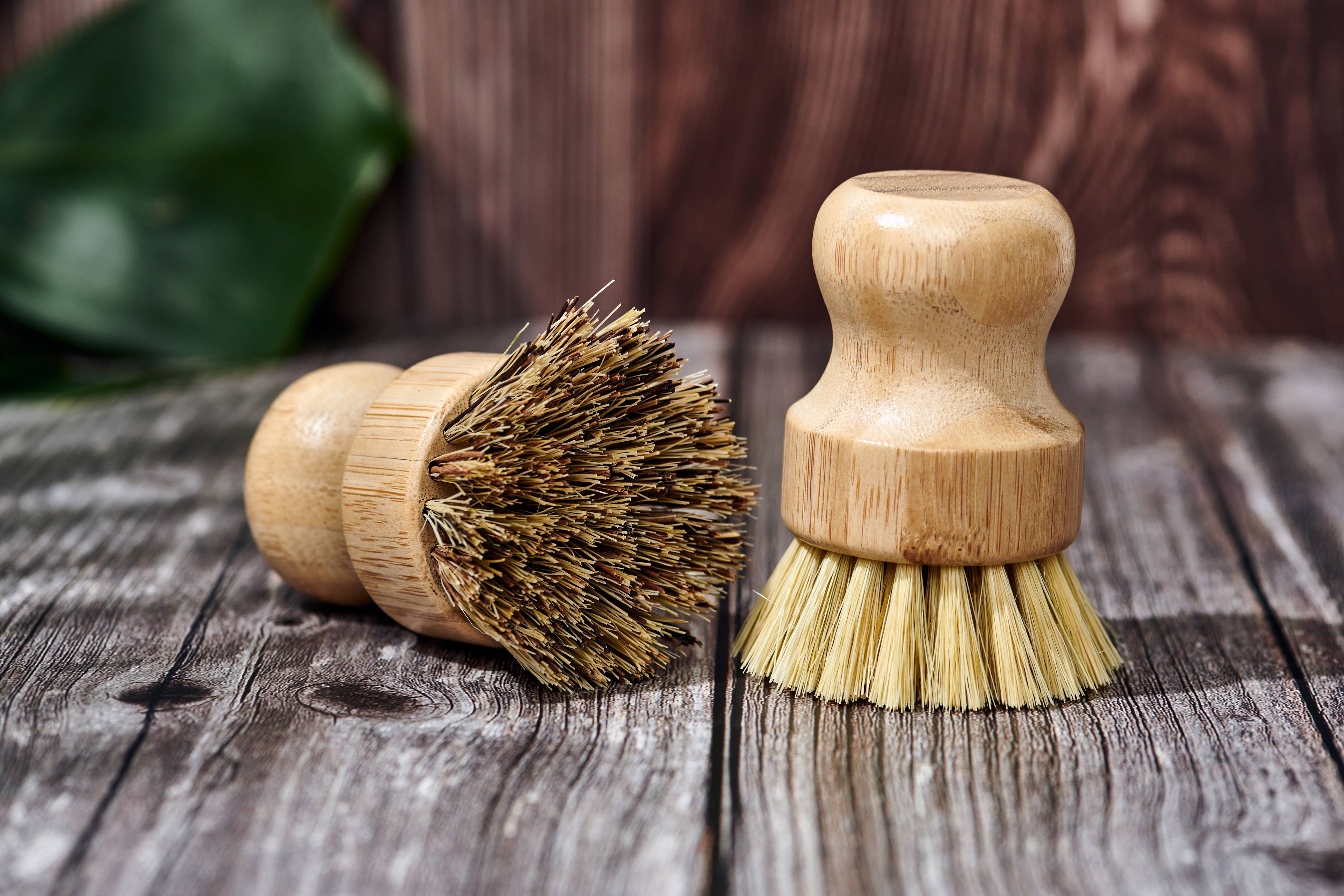 Bamboo Dish Brush - White Peony Organics