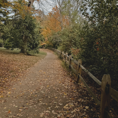 Your Guide To A Fall Reset...for your home & mind.