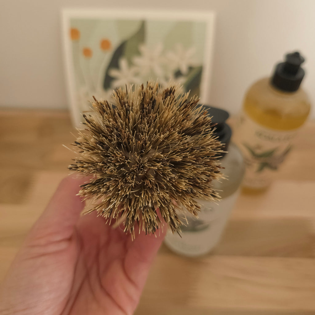 Plant Based Kitchen Essentials Box - White Peony Organics