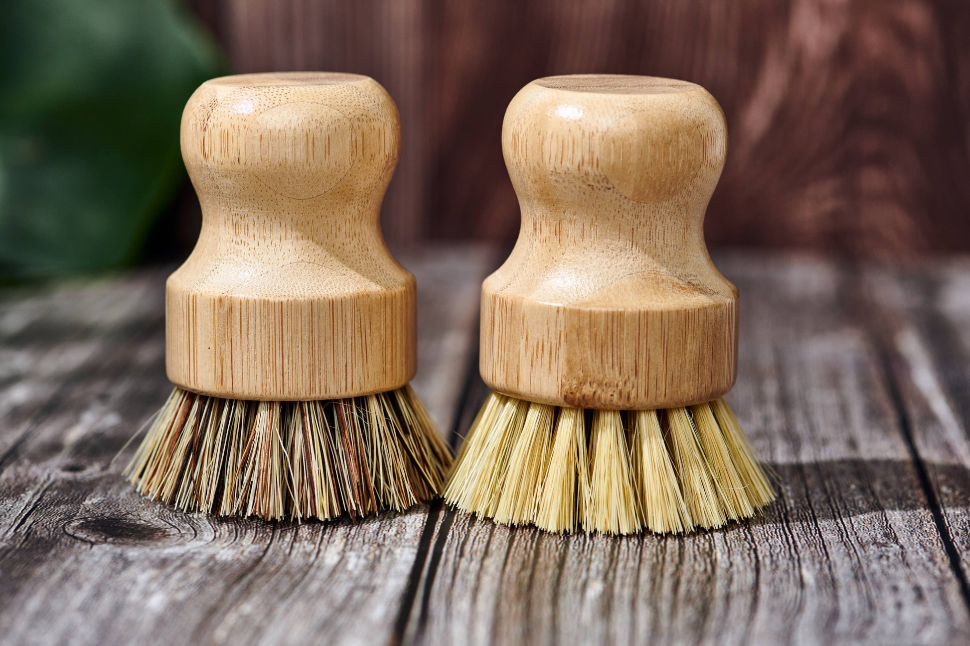 Bamboo Dish Brush - White Peony Organics