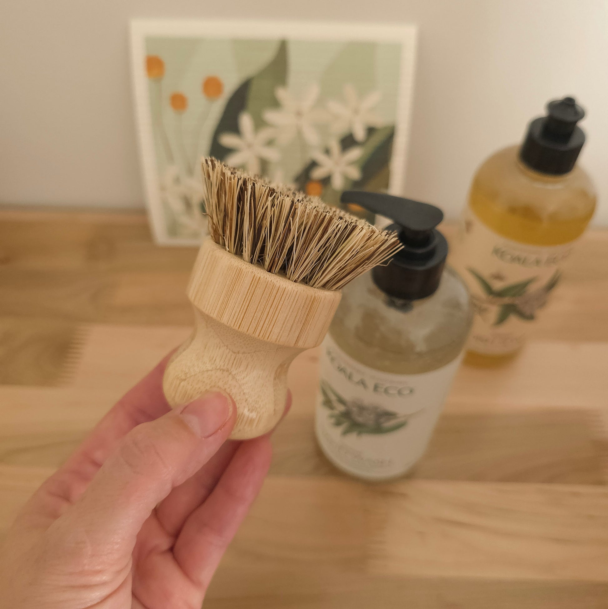 Plant Based Kitchen Essentials Box - White Peony Organics