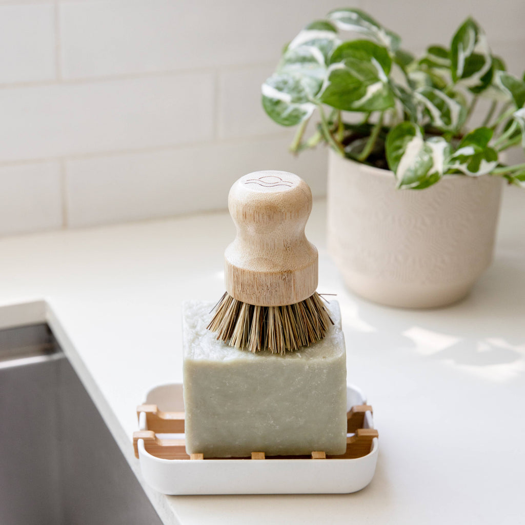 Biodegradable Soap Dish Tray | White - White Peony Organics