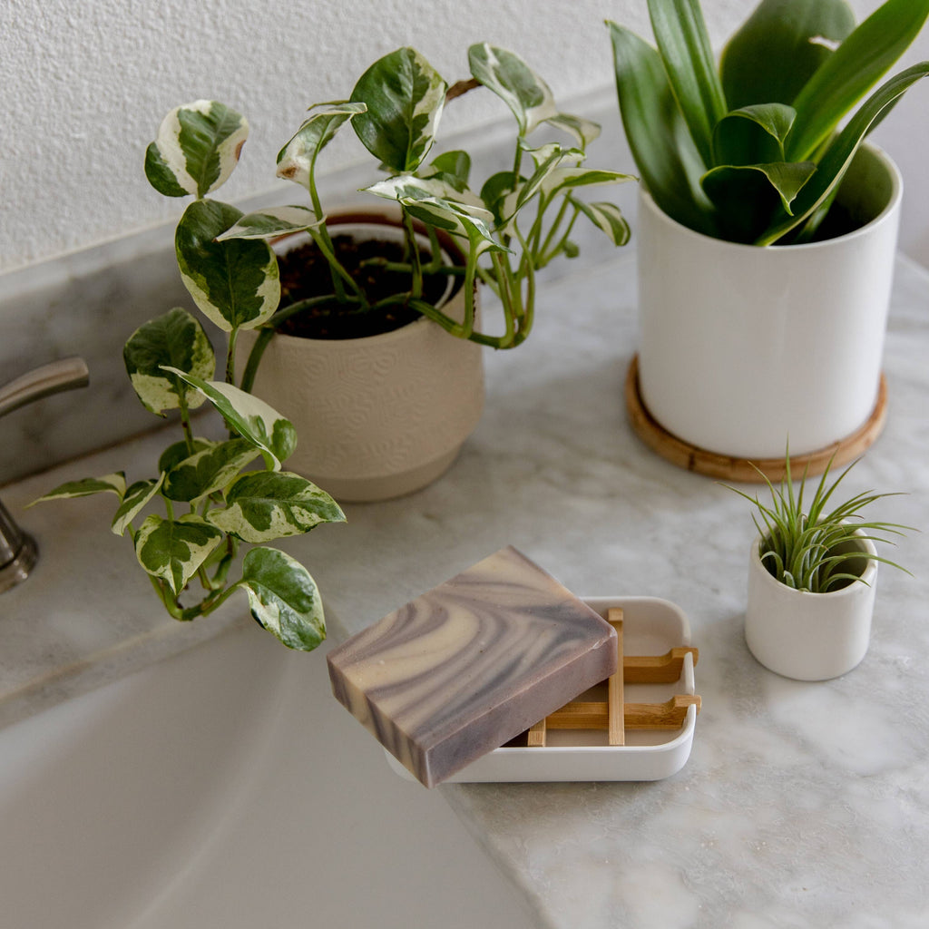 Biodegradable Soap Dish Tray | White - White Peony Organics
